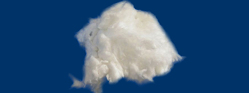 blog-image